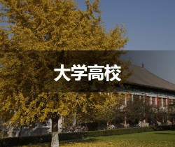 大学高校